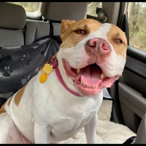 Meet your Posher, Tammy